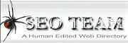 SEO TEAM.